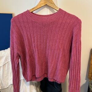 American Eagle Outfitters Berry Ribbed Sweater